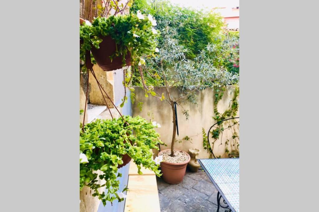 카타니아 Oli'S Charming House 빌라 외부 사진